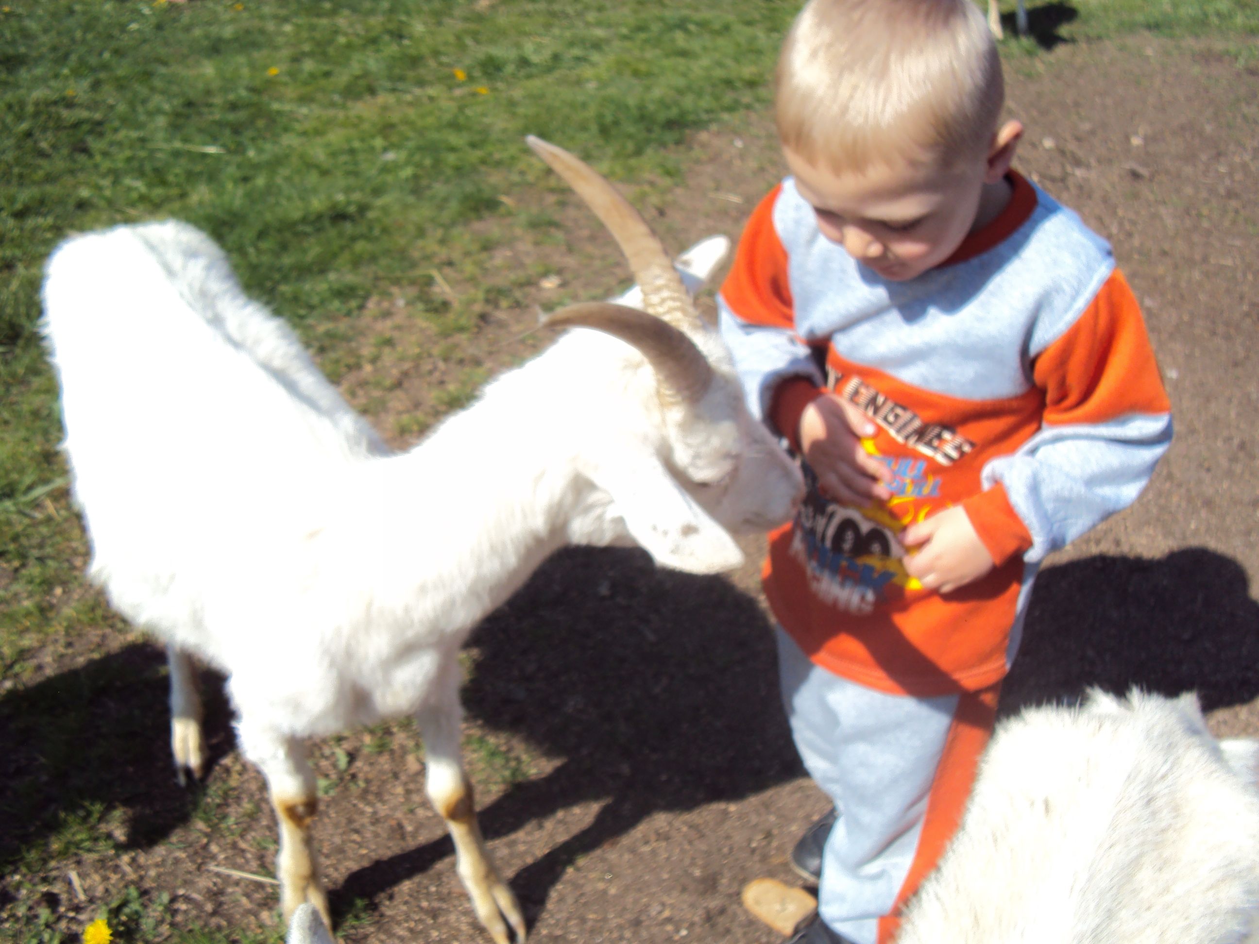 image006