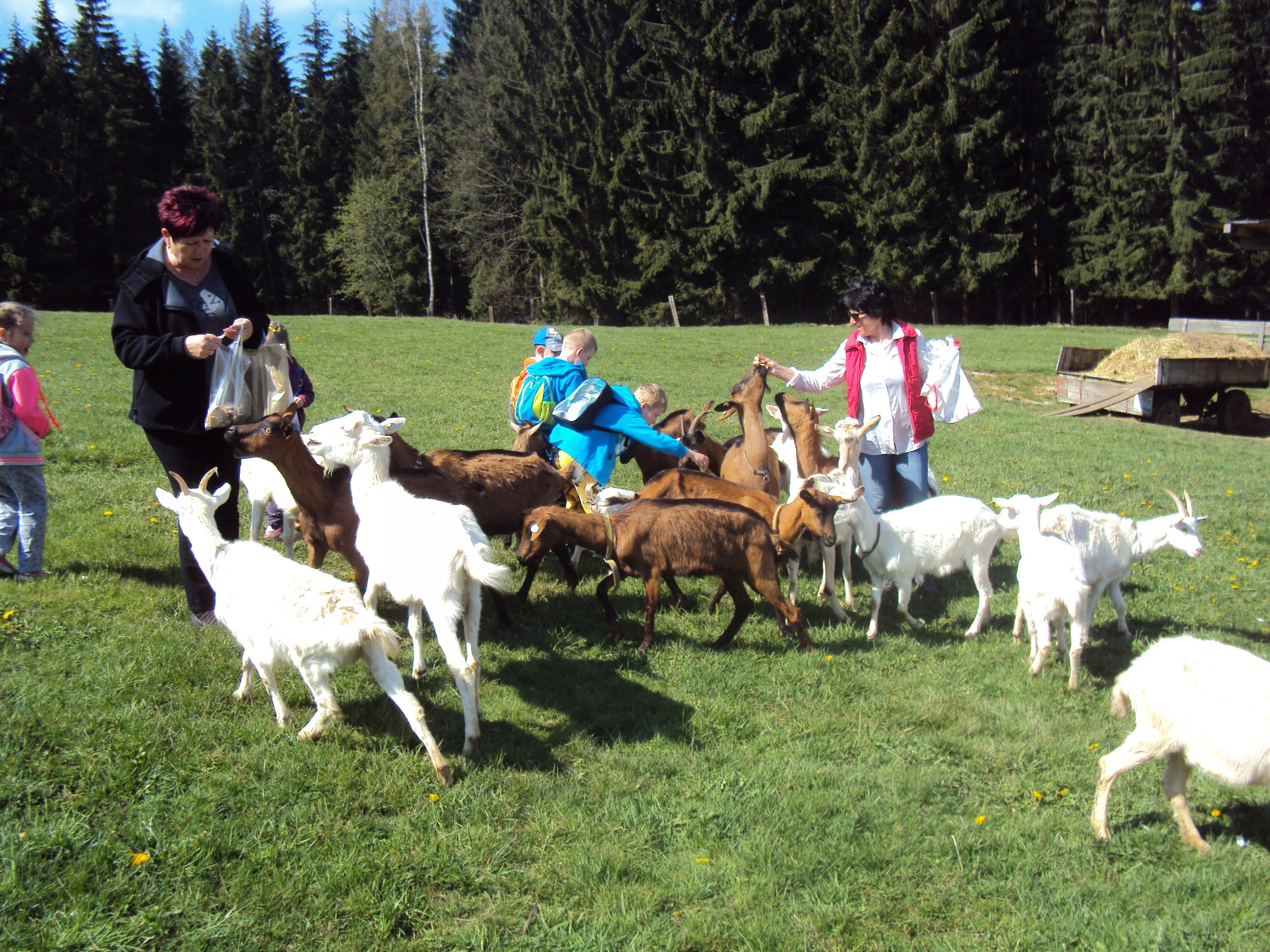 image007