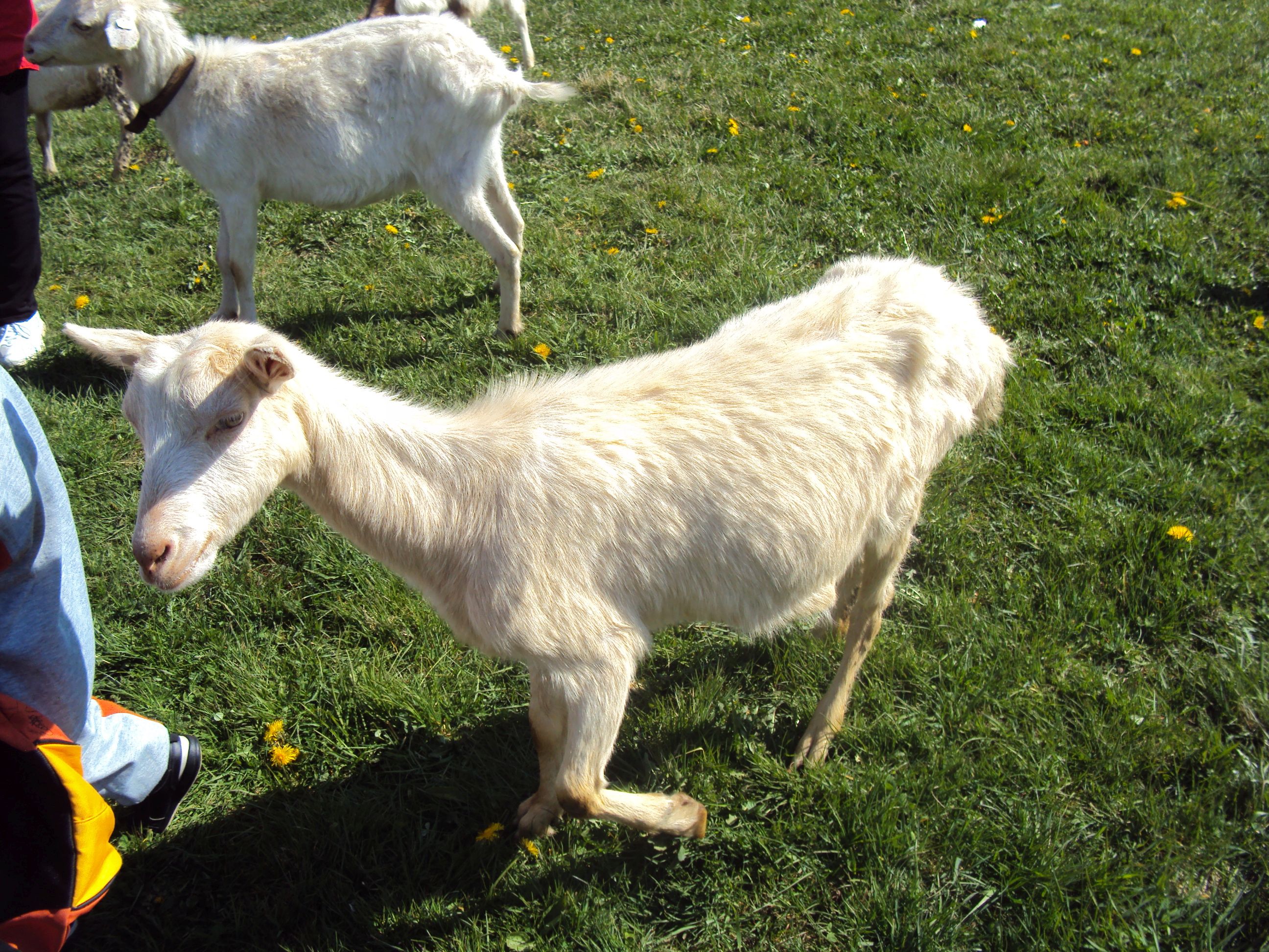 image014