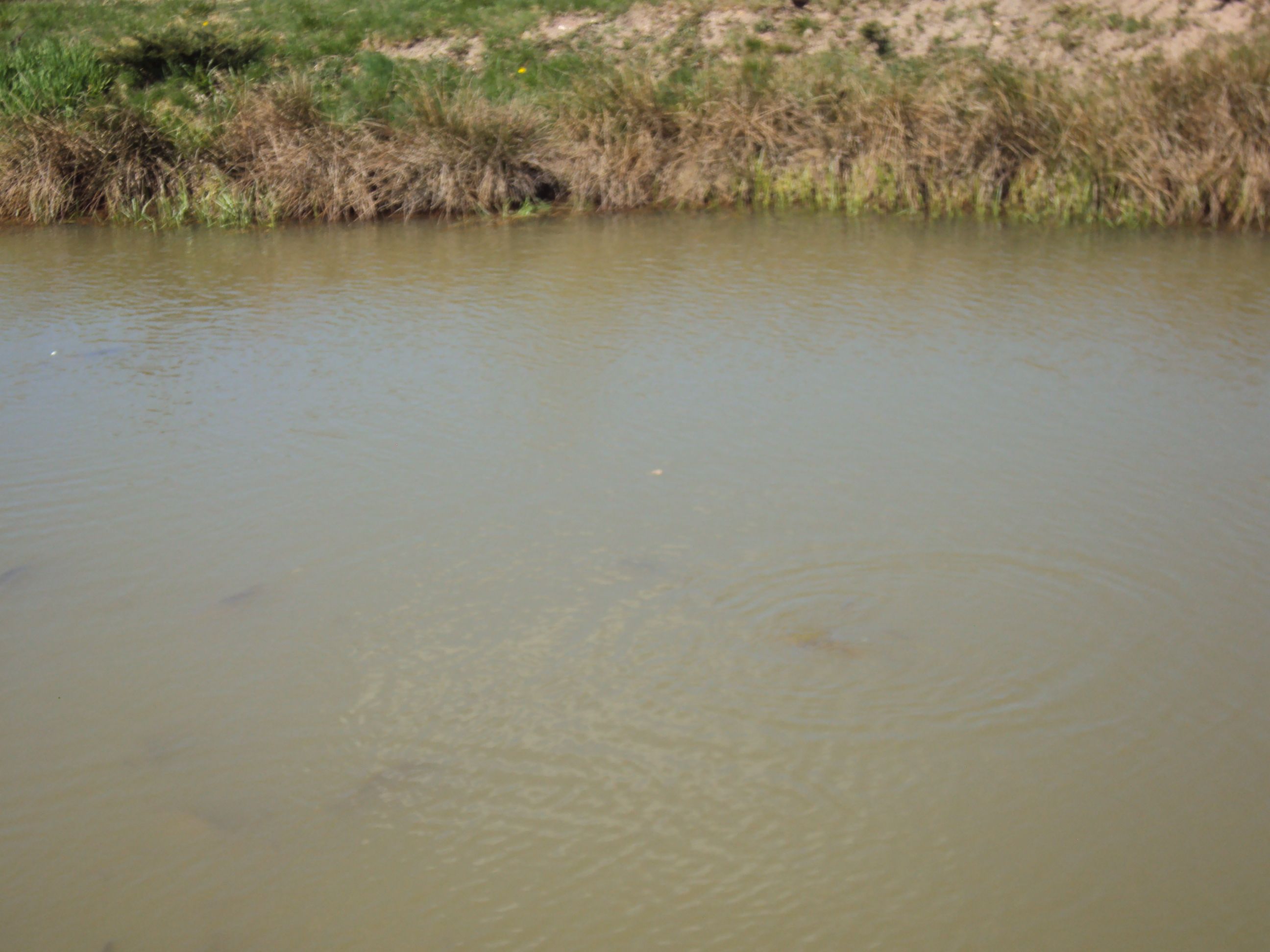 image036